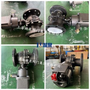 DN80电动球阀WCB材质16公斤