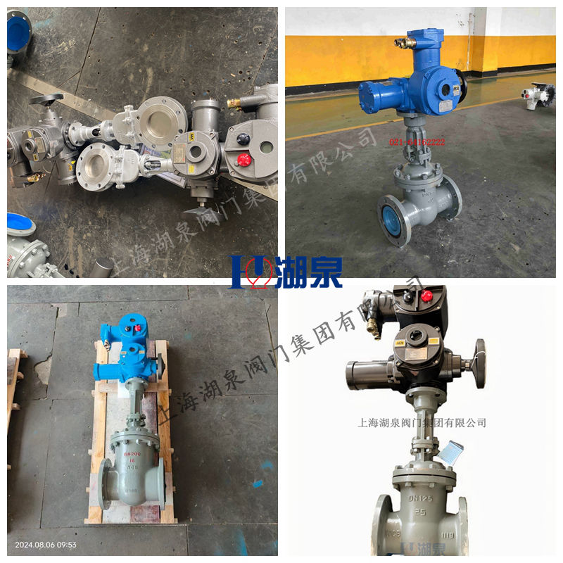 隔爆型阀门电动装置