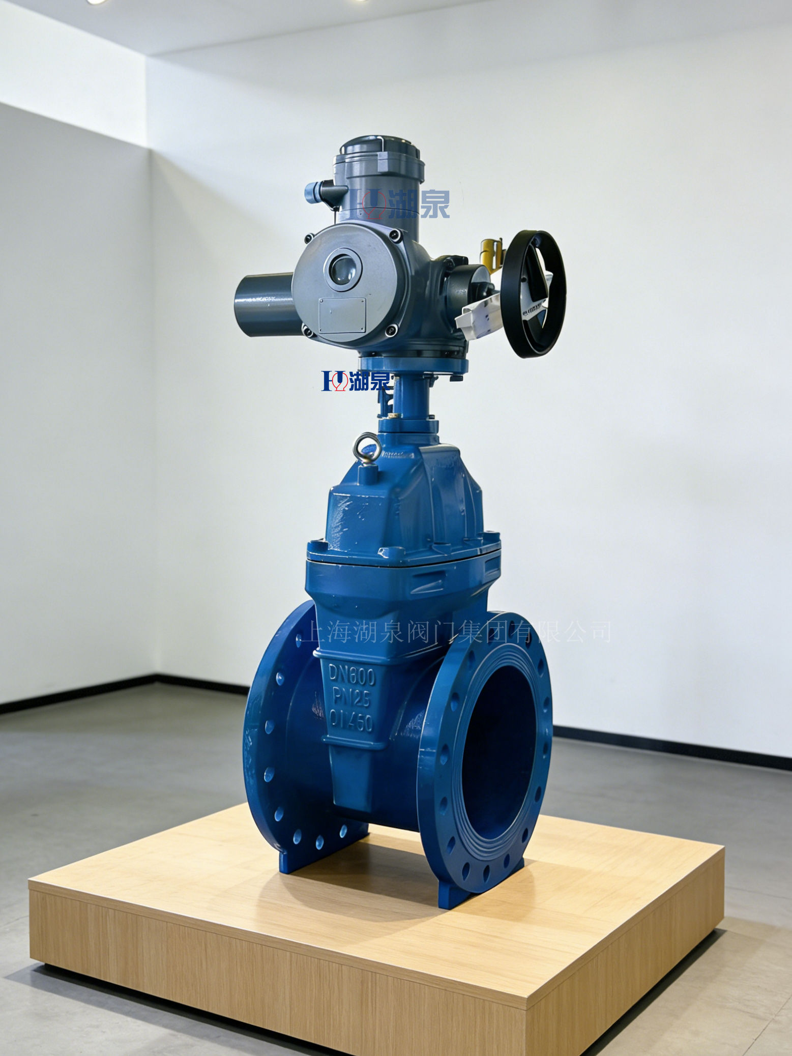 DN600大口径电动闸阀