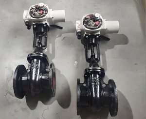 ‌Z941T-10 DN150电动法兰闸阀|灰铸铁铜芯明