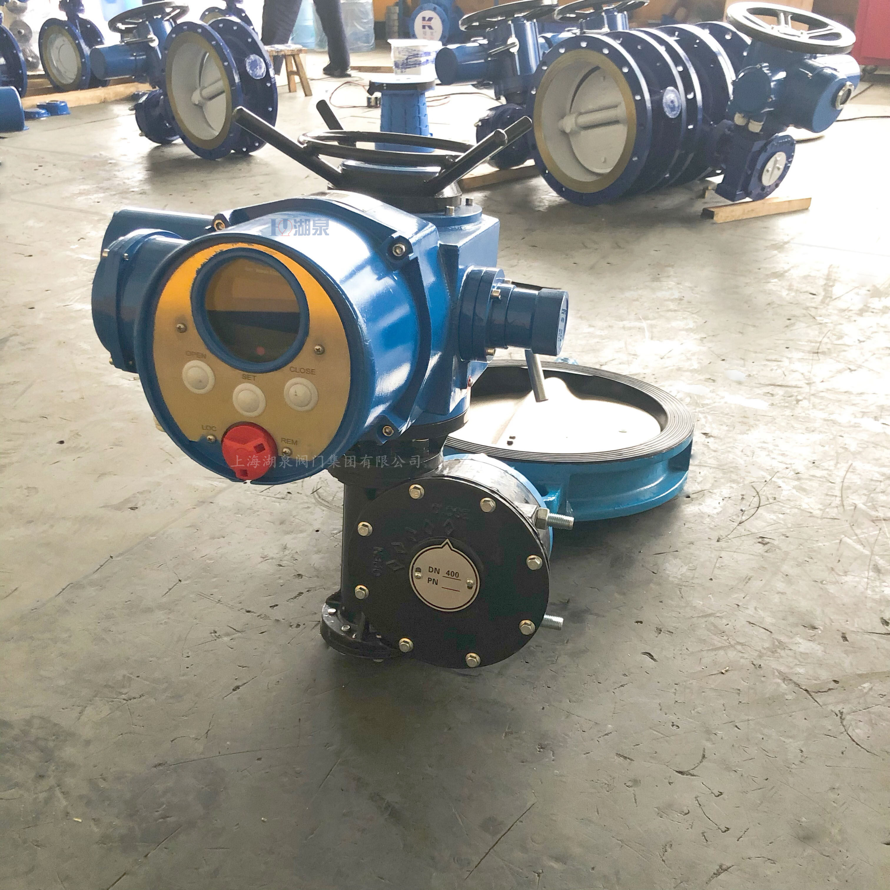 电动排泥蝶阀DN100;PN16;AC220V