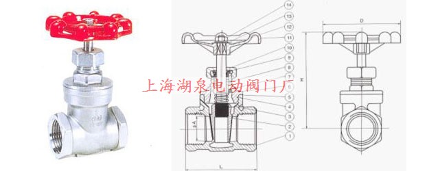 Z11W-16/25P不锈钢丝扣内螺纹闸阀结构图片